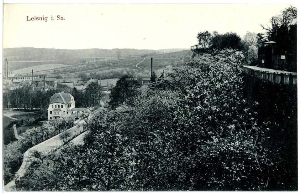 20563-Leisnig-1917-Blick auf Leisnig-Brück & Sohn Kunstverlag
