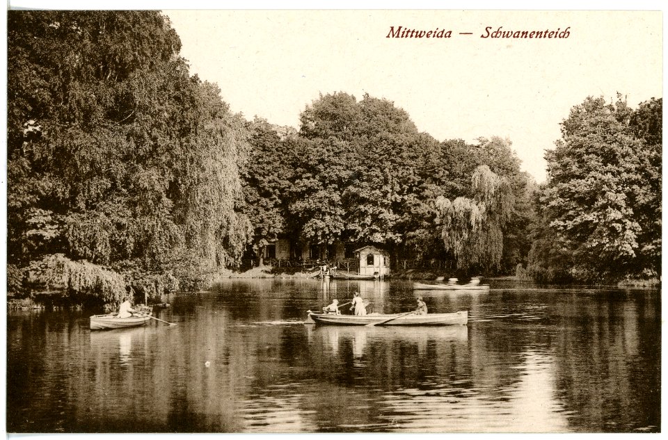 20858-Mittweida-1918-Schwanenteich mit Ruderkähnen-Brück & Sohn Kunstverlag