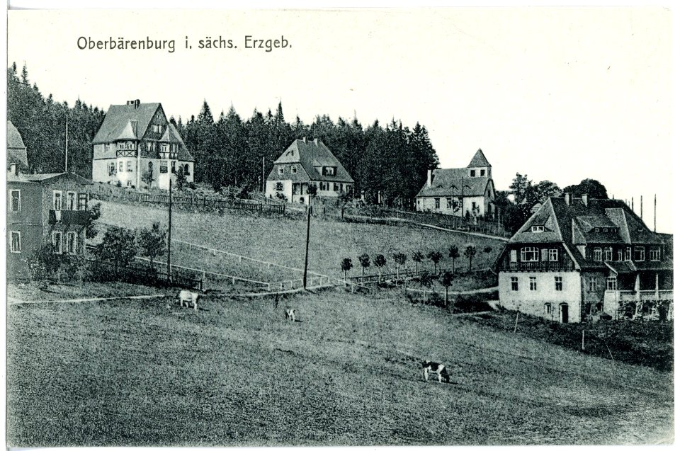 20732-Oberbärenburg-1917-Ortsansicht-Brück & Sohn Kunstverlag