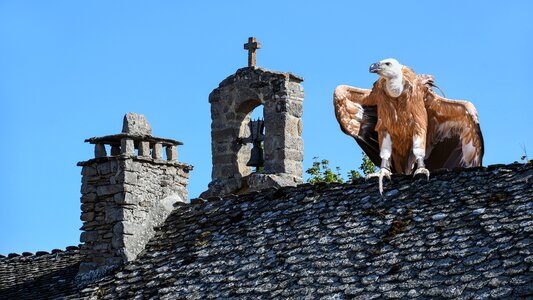 Church pierre tile photo