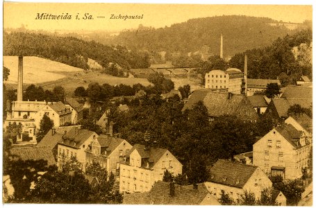 21834-Mittweida-1921-Blick ins Zschopautal-Brück & Sohn Kunstverlag
