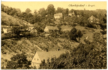 21732-Kipsdorf-1920-Oberkipsdorf-Brück & Sohn Kunstverlag