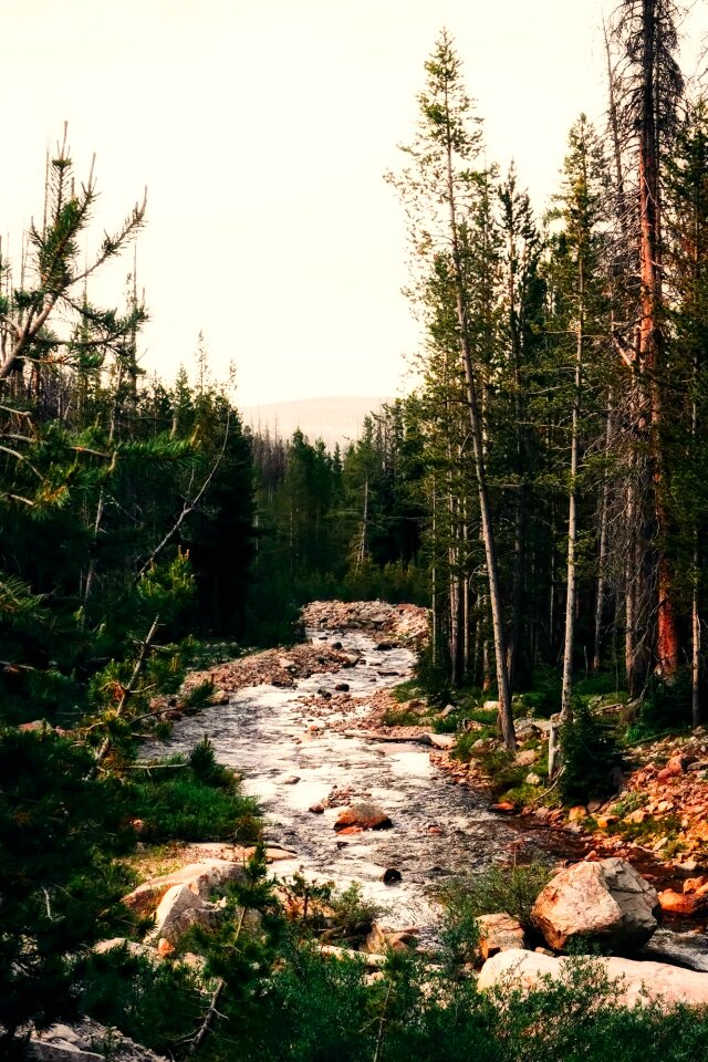 Nature outdoors country