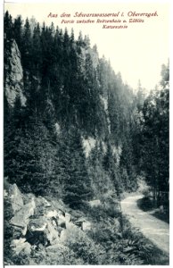 21064-Schwarzwassertal-1918-Katzenstein-Brück & Sohn Kunstverlag
