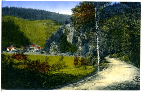 21058-Schwarzwassertal-1918-Partie zwischen Reitzenhain und Zöblitz Ortsteil Pobershau-Brück & Sohn Kunstverlag
