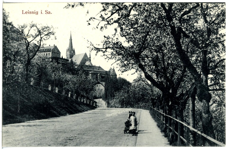 20558-Leisnig-1917-Blick zur Bastei - Baumblut-Brück & Sohn Kunstverlag