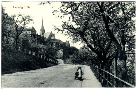 20558-Leisnig-1917-Blick zur Bastei - Baumblut-Brück & Sohn Kunstverlag