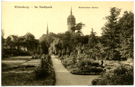 20699-Wittenberg-1917-Im Stadtpark-Brück & Sohn Kunstverlag