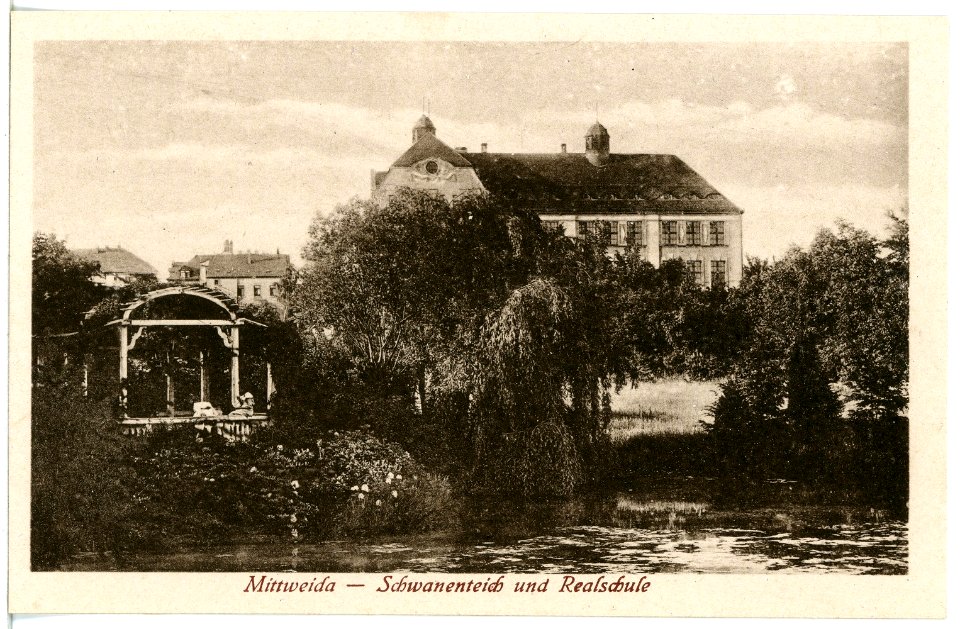 20854-Mittweida-1918-Schwanenteich und Realschule-Brück & Sohn Kunstverlag
