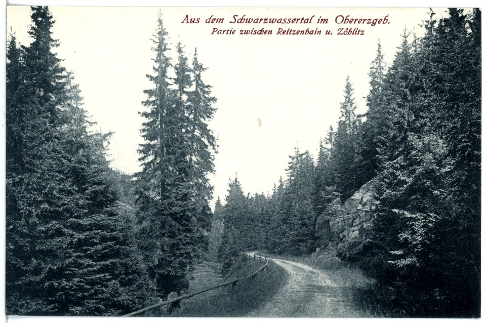 21066-Schwarzwassertal-1918-Zwischen Reitzenhain und Zöblitz-Brück & Sohn Kunstverlag