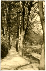 20729-Radeburg-1917-Promenade-Brück & Sohn Kunstverlag
