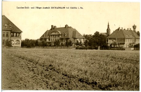 21382-Colditz-1919-Landesheil- und Pflegeanstalt Zschadrass-Brück & Sohn Kunstverlag