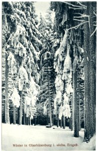 21365-Oberbärenburg-1919-im Winter-Brück & Sohn Kunstverlag