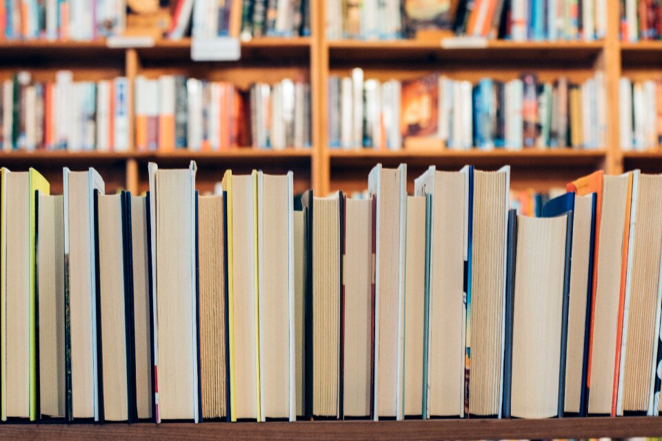 Library education brown book