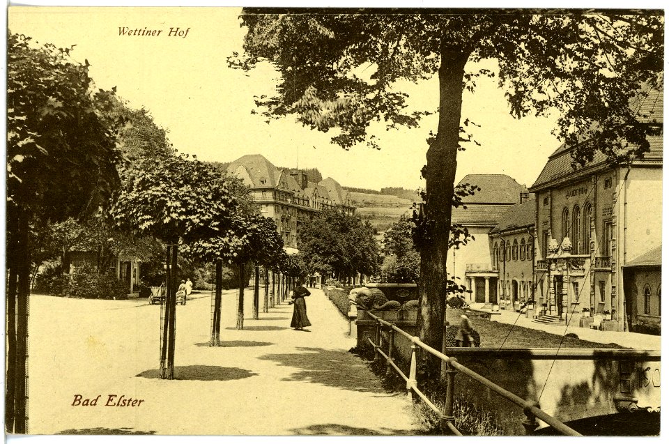 20614-Bad Elster-1917-Alberbad und Wettiner Hof-Brück & Sohn Kunstverlag