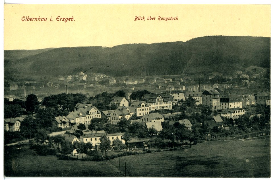 21153-Olbernhau-1919-Blick auf Olbernhau und über Rungstock-Brück & Sohn Kunstverlag