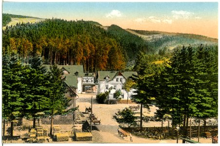 21181-Schmiedeberg-1919-Buschmühle-Brück & Sohn Kunstverlag