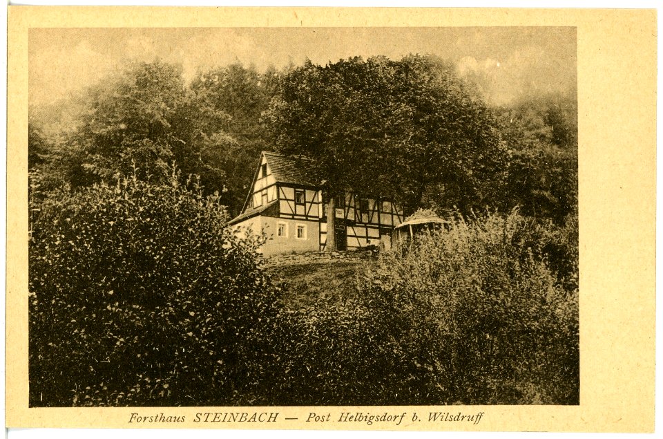21041-Steinbach (Reinsberg)-1918-Forsthaus-Brück & Sohn Kunstverlag