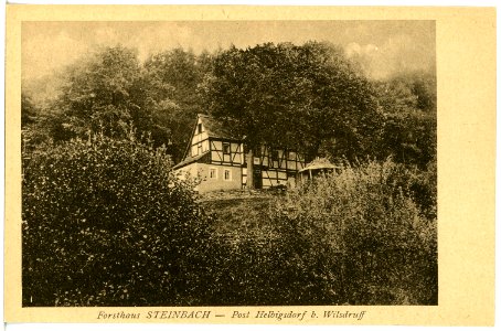 21041-Steinbach (Reinsberg)-1918-Forsthaus-Brück & Sohn Kunstverlag