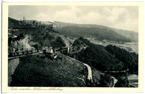 21186-Moldau-1919-Gasthof zum Fischerhaus-Brück & Sohn Kunstverlag