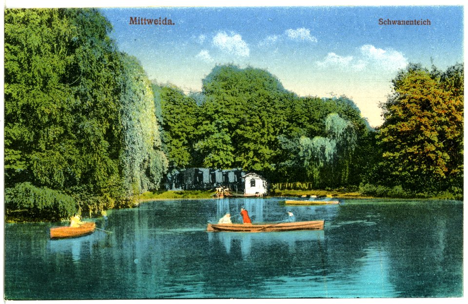 21011-Mittweida-1918-Schwanenteich-Brück & Sohn Kunstverlag
