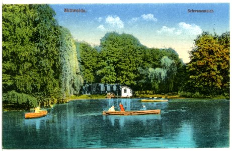 21011-Mittweida-1918-Schwanenteich-Brück & Sohn Kunstverlag