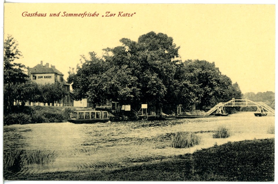 21203-Bad Kösen-1919-Hotel zur Katze-Brück & Sohn Kunstverlag