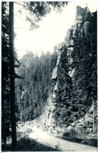 21063-Schwarzwassertal-1918-Schwarzwassertal-Brück & Sohn Kunstverlag