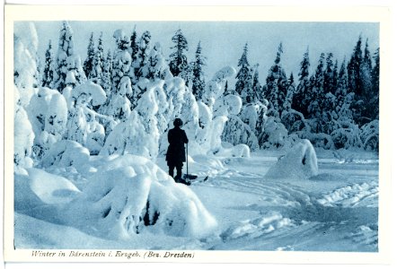 21388-Bärenstein-1919-im Winter-Brück & Sohn Kunstverlag