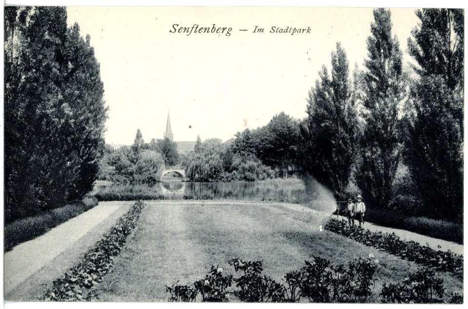 20827-Senftenberg-1918-Im Stadtpark-Brück & Sohn Kunstverlag
