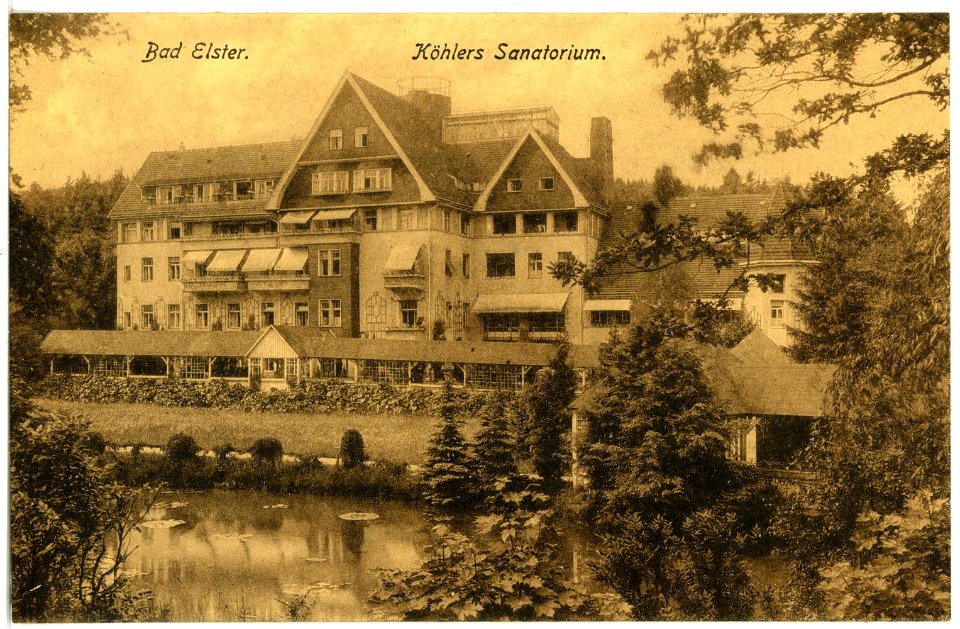 20581-Bad Elster-1917-Köhlers Sanatorium-Brück & Sohn Kunstverlag