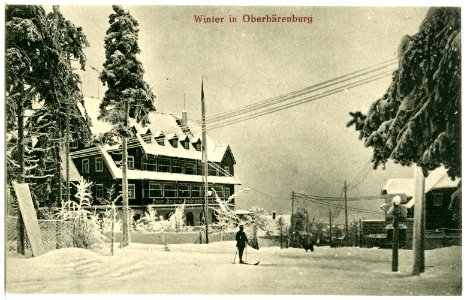 21387-Oberbärenburg-1919-Winter in Oberbärenburg, Berghotel Friedrichshöhe-Brück & Sohn Kunstverlag