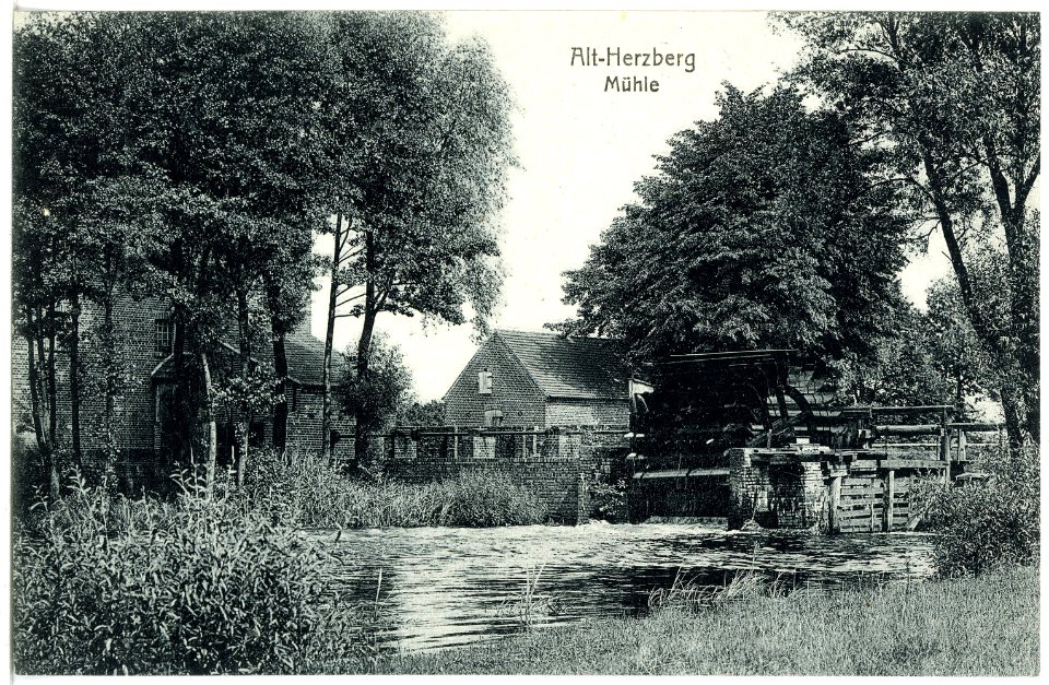 20884-Herzberg (Elster)-1918-Mühle-Brück & Sohn Kunstverlag