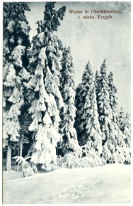 21364-Oberbärenburg-1919-im Winter-Brück & Sohn Kunstverlag