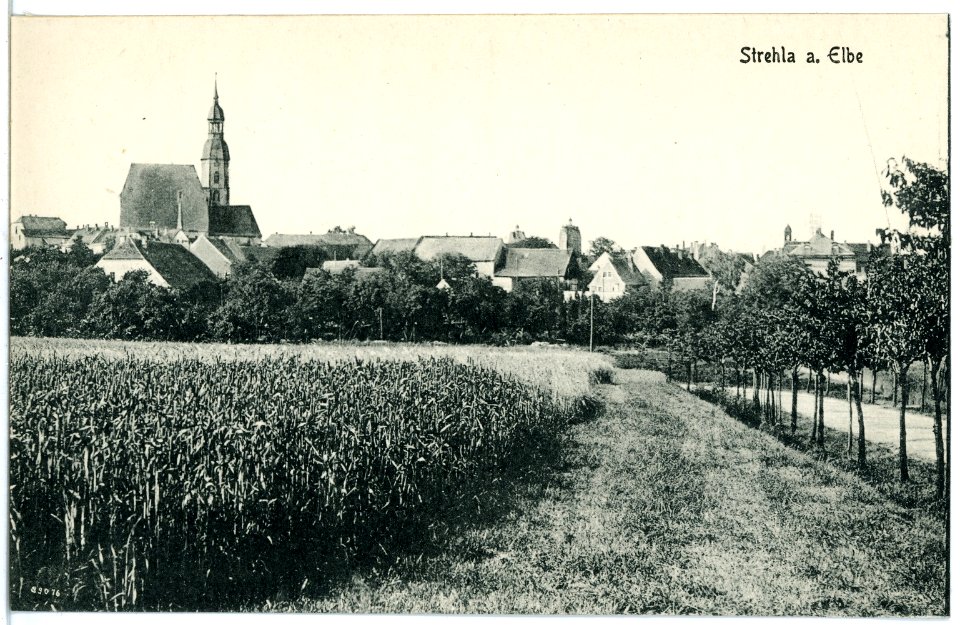 20587-Strehla-1917-Blick auf Strehla-Brück & Sohn Kunstverlag
