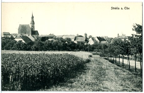 20587-Strehla-1917-Blick auf Strehla-Brück & Sohn Kunstverlag