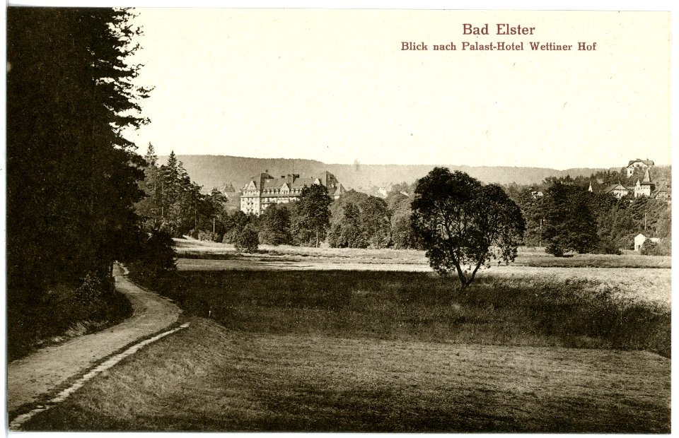 20520-Bad Elster-1917-Palast-Hotel Wettiner Hof-Brück & Sohn Kunstverlag