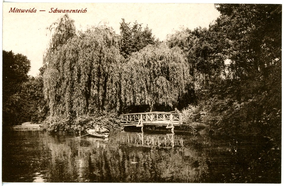 20859-Mittweida-1918-Schwanenteich-Brück & Sohn Kunstverlag