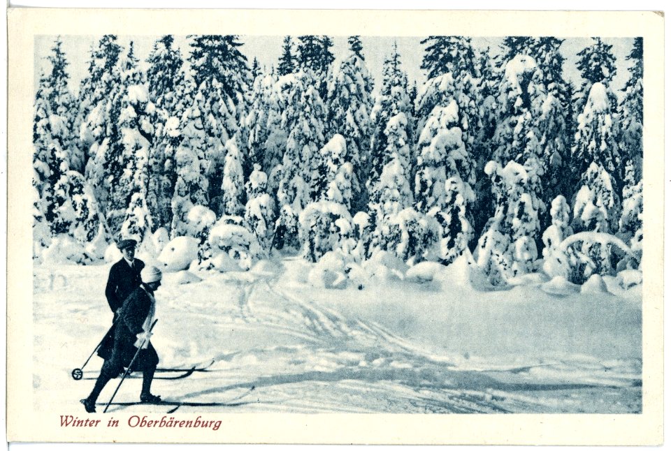 21391-Oberbärenburg-1919-im Winter-Brück & Sohn Kunstverlag