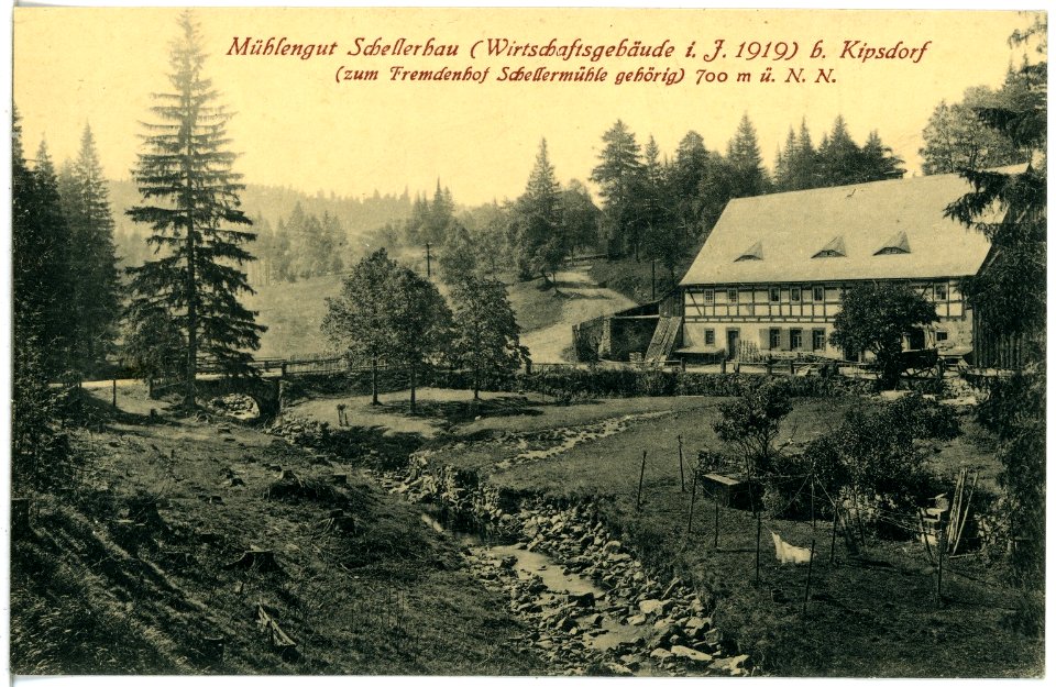 21176-Schellerhau-1919-Mühlengut-Brück & Sohn Kunstverlag