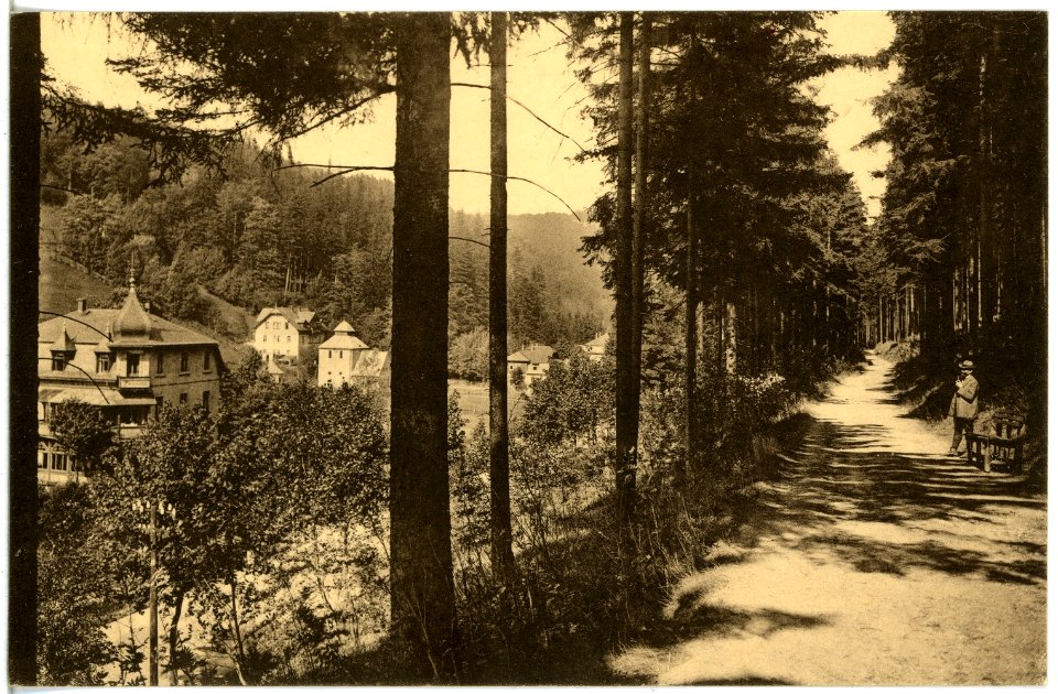 21396-Kipsdorf-1919-Blick auf Kipsdorf-Brück & Sohn Kunstverlag