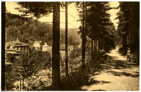21396-Kipsdorf-1919-Blick auf Kipsdorf-Brück & Sohn Kunstverlag