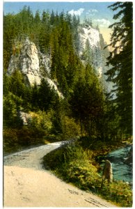 21291-Schwarzwassertal-1919-Katzenstein-Brück & Sohn Kunstverlag