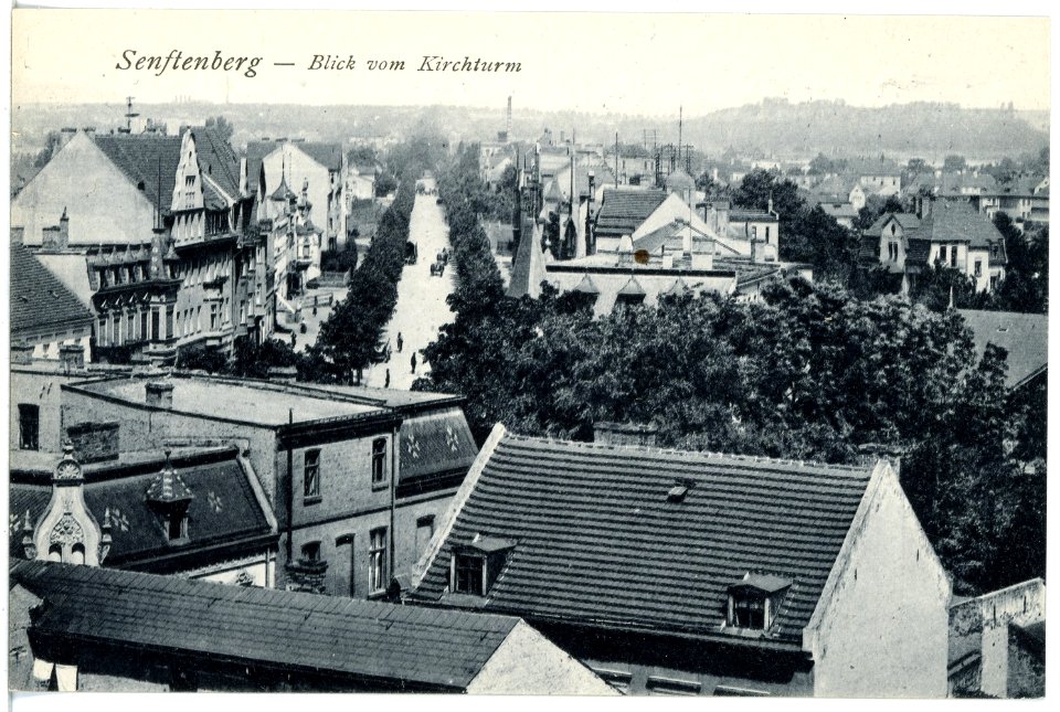 20828-Senftenberg-1918-Blick vom Kirchturm-Brück & Sohn Kunstverlag