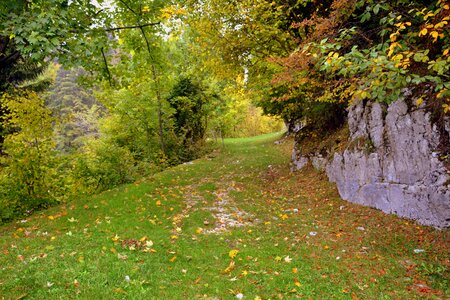 Excursion autumn the european path
