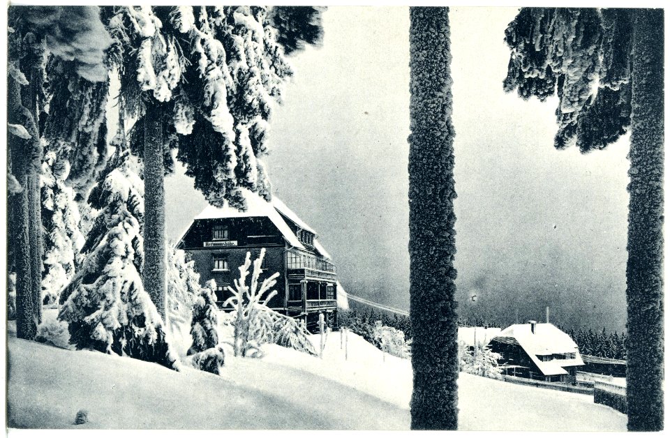 21357-Oberbärenburg-1919-Oberbärenburg im Winter-Brück & Sohn Kunstverlag