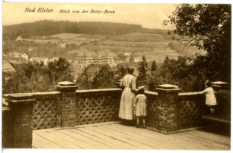 20582-Bad Elster-1917-Blick auf Bad Elster von der Betty-Bank-Brück & Sohn Kunstverlag