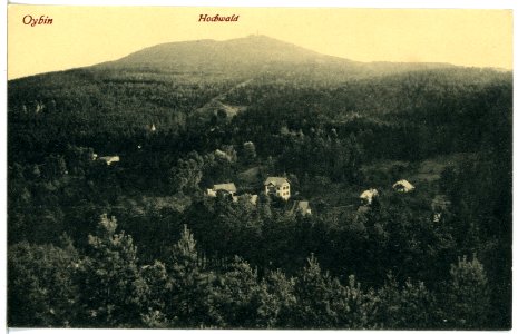 21299-Oybin-1919-Hohwald-Brück & Sohn Kunstverlag