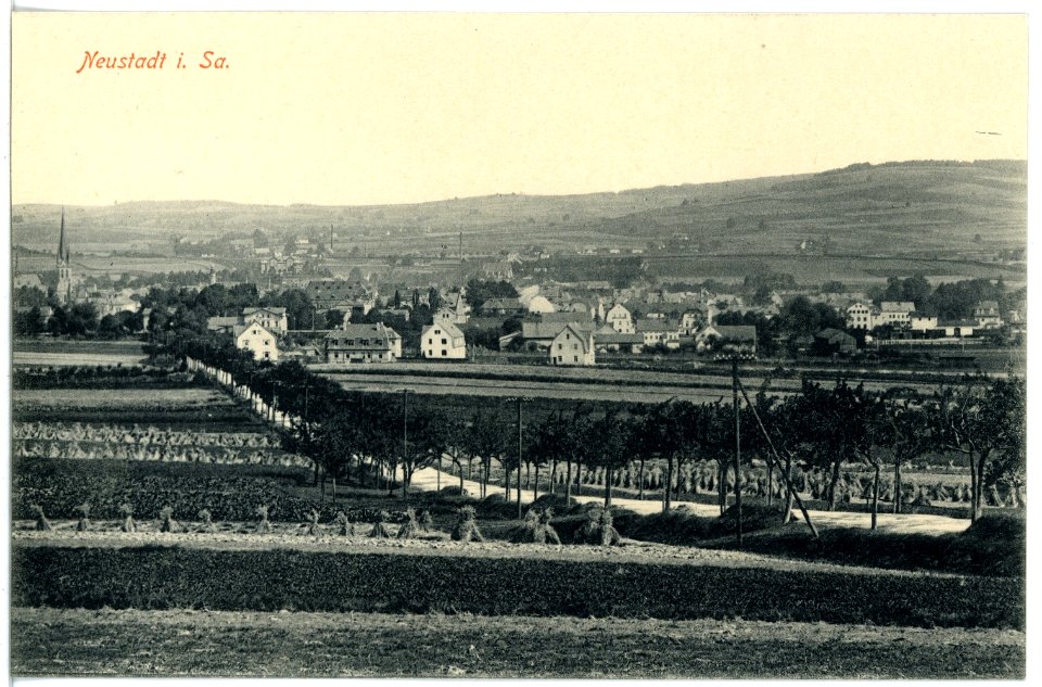 16813-Neustadt-1913-Blick auf Neustadt-Brück & Sohn Kunstverlag