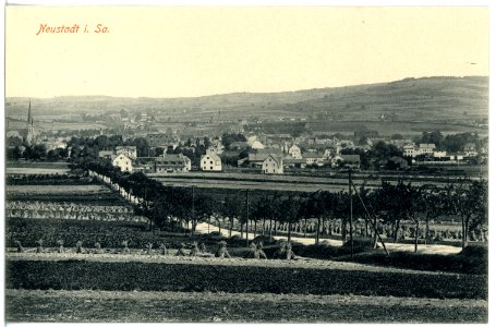 16813-Neustadt-1913-Blick auf Neustadt-Brück & Sohn Kunstverlag